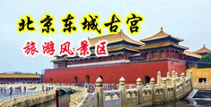 插入啪视频中国北京-东城古宫旅游风景区